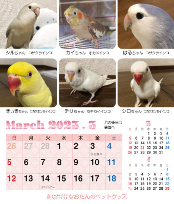 2023年 鳥づくし卓上カレンダー インコ  小鳥 カレンダー 2023卓上（全163羽掲載） 7枚目の画像