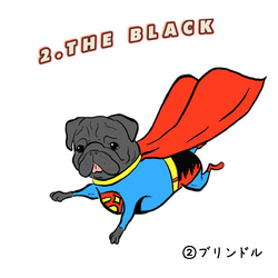 【文字変更】スーパーパグ　ホワイトスウェット 親子コーデ　ロゴ　パグ 6枚目の画像
