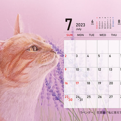2023年猫のカレンダー【卓上タイプ】 10枚目の画像