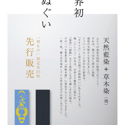 限定販売【藍染+草木染め 手ぬぐい】万物は数なり｜石田尚史氏｜数字シリーズ［伝統工芸 伊勢木綿］世界初！藍捺染 11枚目の画像