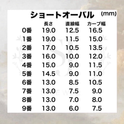  第4張的照片