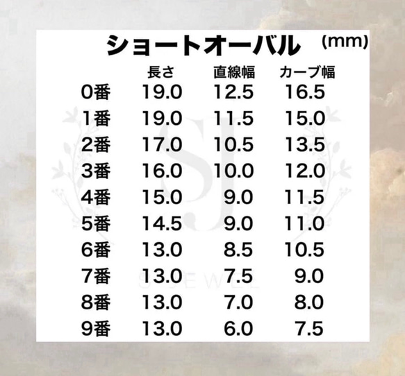  第4張的照片