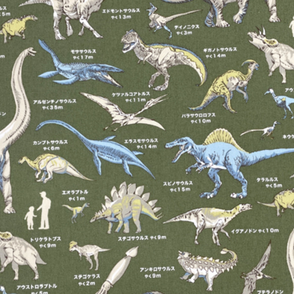 30×40 ランチョンマット☆恐竜柄 小学校 男の子 給食 恐竜の大きさ比べ 緑 2枚目の画像