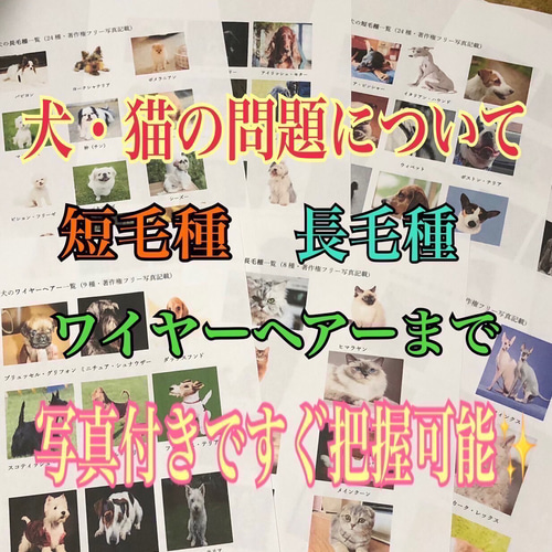 家庭動物管理士の完全対策資料&問題集セット』 ペット服
