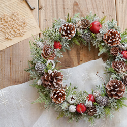 ♡coco♡☆ 粉雪が舞い降りて…classicalなリース 🏰❤️