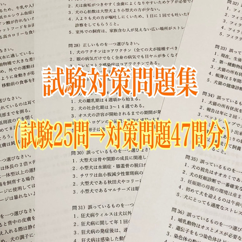 JKC愛犬飼育管理士の試験対策資料&対策問題集セット』 ZINE