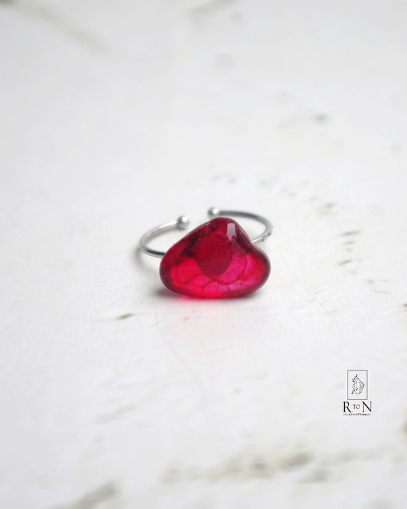 チャクラカラーの赤い薔薇