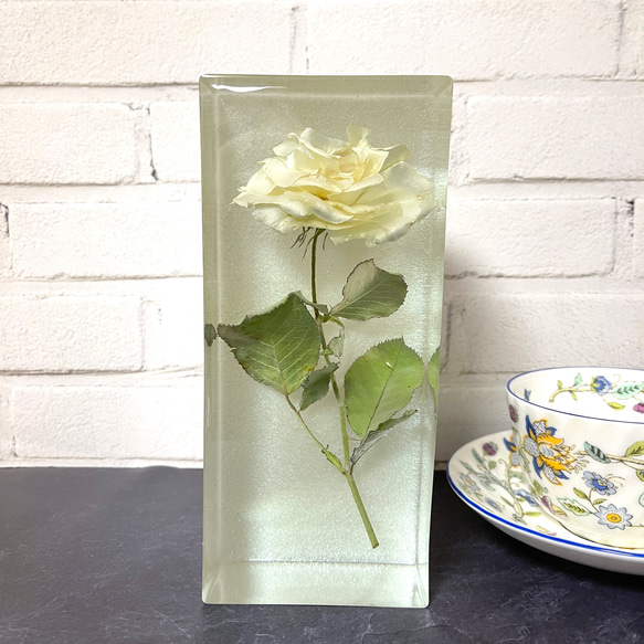 白薔薇／インテリア置物/告白/記念日/ウエディング/レジン Pair 本物の白薔薇/インテリア置物/告白/記念日/ウエディング/薔薇の植物