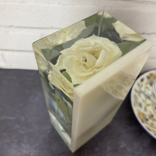 本物の白薔薇/インテリア置物/告白/記念日/ウエディング/薔薇の植物