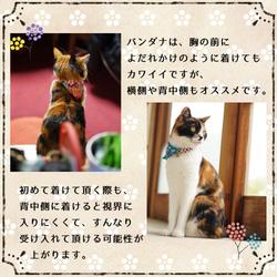 【猫用】ユニフォーム風バンダナ　２０２２ 8枚目の画像