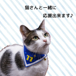 【猫用】ユニフォーム風バンダナ　２０２２ 4枚目の画像