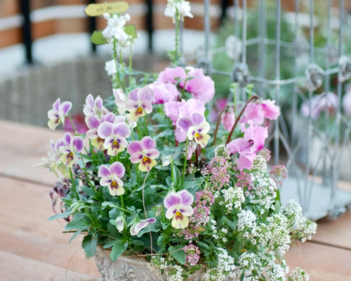 6ed23dd8ffbf8e97aed13887566a94