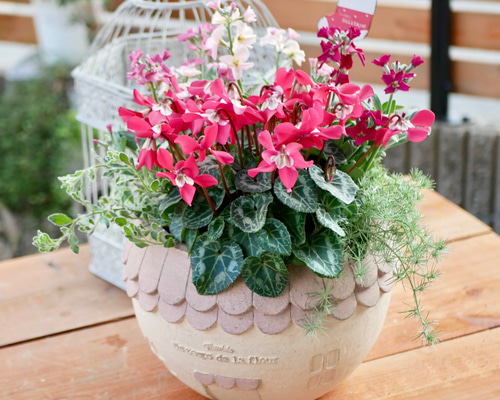 b417068aa738a39de04a82098a4d9f