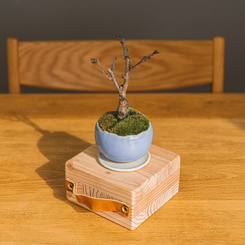 DAIDAI ［バトニング専用薪割り台］ その他インテリア雑貨 bibibi