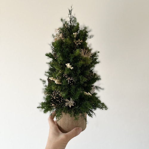 ✳︎new arrival✳︎christmas treeクリスマスツリー②gold 81WTouHY-BL._UF350,350_QL50_.jpg
