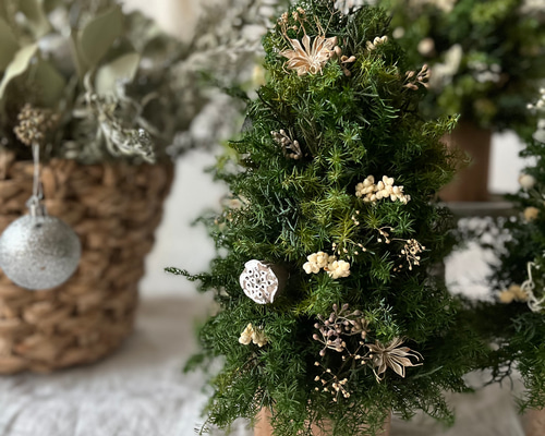 ✳︎new arrival✳︎christmas treeクリスマスツリー②gold