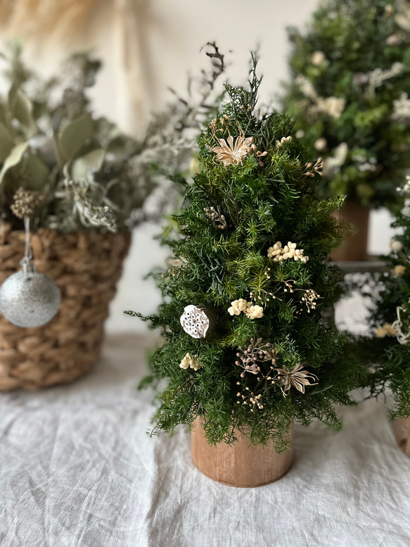 ✳︎new arrival✳︎christmastreeクリスマスツリー⑦ ✳︎new arrival✳︎christmas treeクリスマスツリー