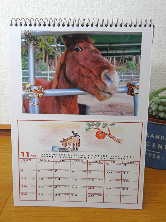 2023 長崎の対州馬ひん太/カレンダー/ハンドクラフト/卓上カレンダー/A５サイズ 3枚目の画像