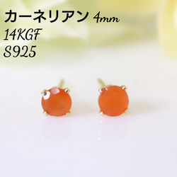 M☺︎ 1点作品☺︎ ロングペアシェイプカーネリアンピアス TAKE-UP ONLINE SHOP/テイクアップ公式オンラインショップ / GF