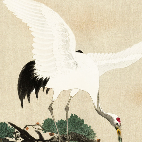 昭和レトロ 上村松篁 丹頂 右 鶴 冬景色 複製画 ポスター 日本画 絵画 美術 上村松篁「丹頂」木版画 版画 日本画 絵画 鶴 つる ツル 鳥 雪