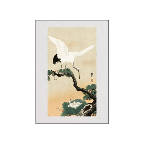 昭和レトロ 上村松篁 丹頂 右 鶴 冬景色 複製画 ポスター 日本画 絵画 美術 昭和レトロ 上村松篁 丹頂 右 鶴 冬景色 複製画 ポスター 日本画