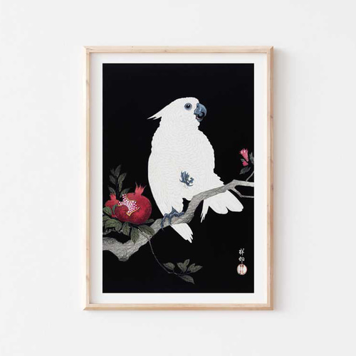 小原古邨、オウム、ザクロ、日本画、ポスター、リビング、玄関などに