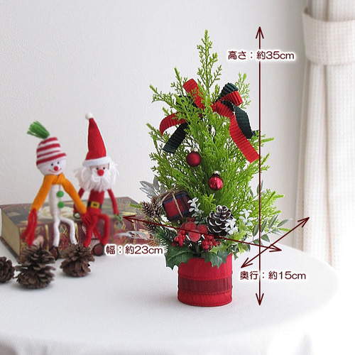 クリスマスツリー☆ゴールドクレスト・ギフトボックス・キラキラ