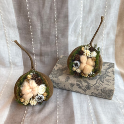 Christmas ブッダナッツアレンジ (大きめサイズ)1個 11/26 Christmas