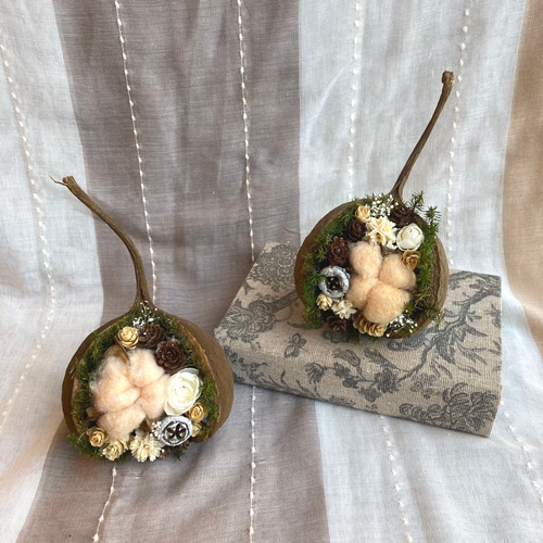 一点物【クリスマス】個性が可愛いブッダナッツ ナチュラル ドライ