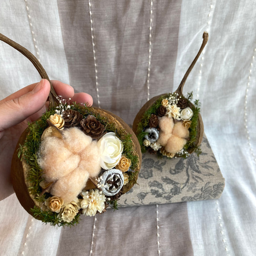 一点物【クリスマス】個性が可愛いブッダナッツ ナチュラル ドライ