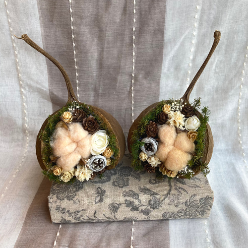 一点物【クリスマス】個性が可愛いブッダナッツ ナチュラル ドライ