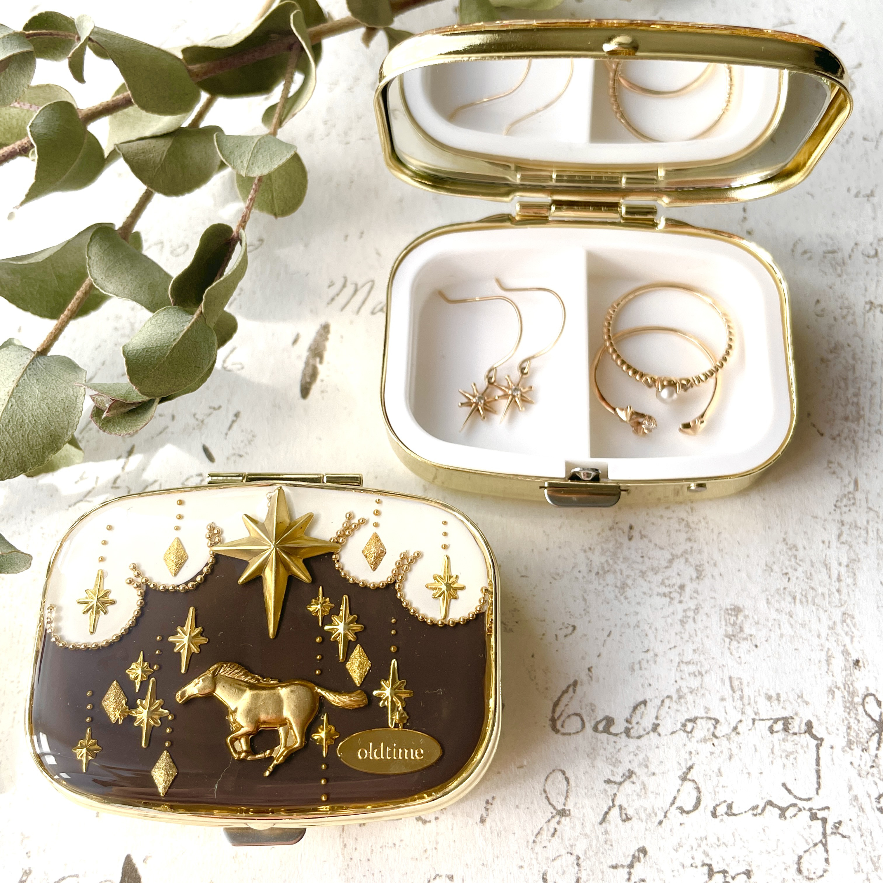 【ピルケース】輝かしい馬／アクセサリーケース　レジン　（無料ギフトラッピング）