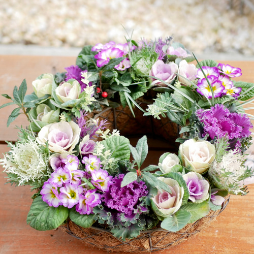 心に寄り添う 寄せ植え 葉牡丹がお花のようにみえる エレガントな