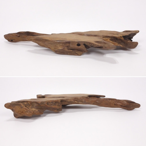 温泉流木】岬の先端のような姿美しい変形流木の台座置台 台座 流木