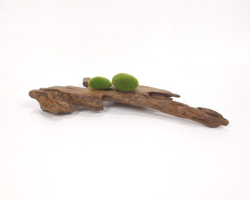 温泉流木】岬の先端のような姿美しい変形流木の台座置台 台座 流木