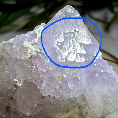 トライゴーニック 虹入り カクタスアメジスト サボテン水晶 ラフ