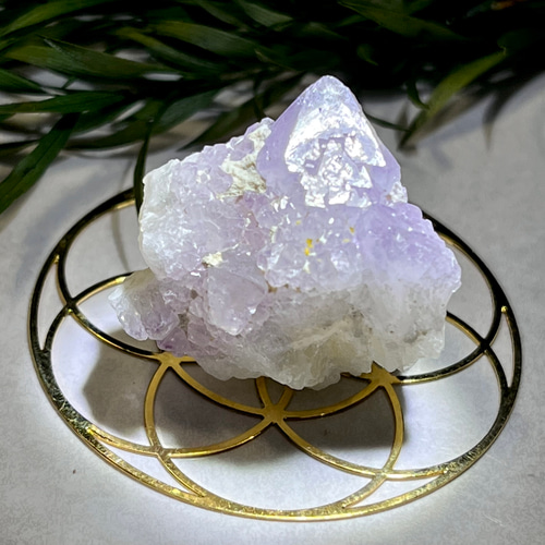 トライゴーニック✨カクタスアメジストサボテン水晶ラフストーン原石