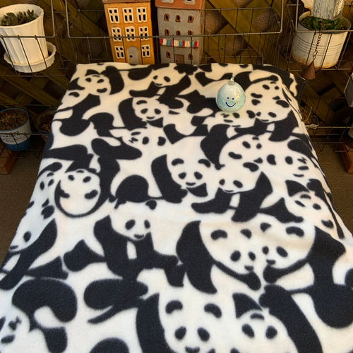 パンダ フリース ブランケット その他ファッション akenta 通販