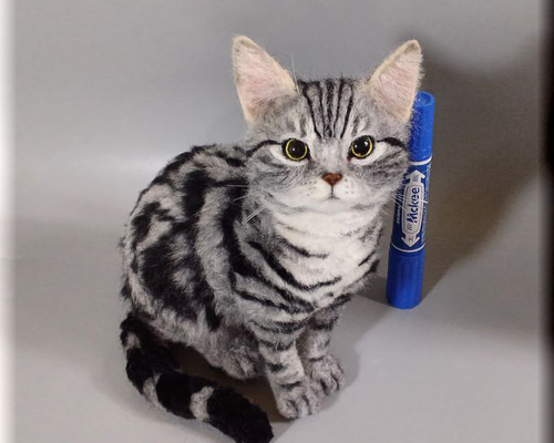 07f3b8cc6a301af48835510fbc0012