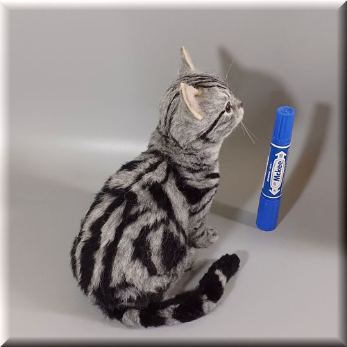 羊毛フェルト 猫 アメリカンショートヘア ねこ ネコ アメショ 羊毛