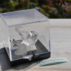 天然石 約26g ケース高さ約52mm 水晶クラスター(ゼカ・デ・ソウザ産)ラベル付き[zqkit-221123-06] 15枚目の画像