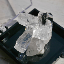天然石 約26g ケース高さ約52mm 水晶クラスター(ゼカ・デ・ソウザ産)ラベル付き[zqkit-221123-06] 9枚目の画像