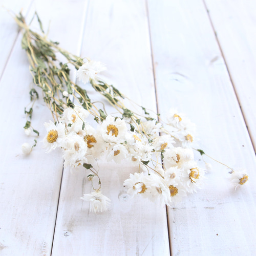 【♡マダミン♡様おまとめ】ドライフラワー ドライフラワーになるバスケットアレンジメントM（夏・秋