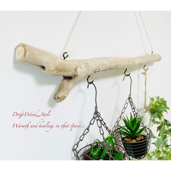 流木インテリア 端がY字の無骨な天然流木のハンガーフック 流木ハンガー ハンギング ウォールデコ 北欧 No.147 4枚目の画像