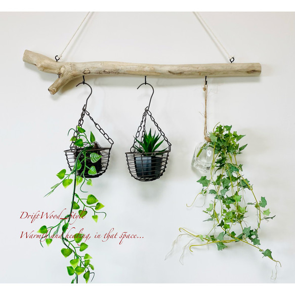 流木インテリア 端がY字の無骨な天然流木のハンガーフック 流木ハンガー ハンギング ウォールデコ 北欧 No.147 1枚目の画像