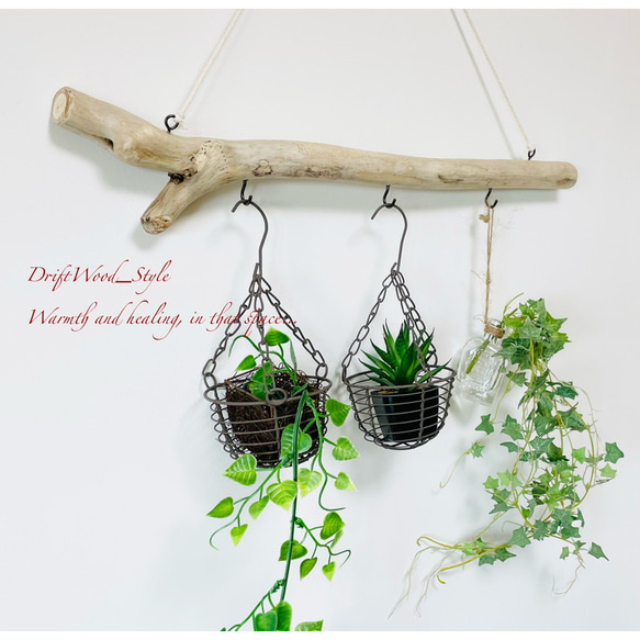 流木インテリア 端がY字の無骨な天然流木のハンガーフック 流木ハンガー ハンギング ウォールデコ 北欧 No.147 2枚目の画像