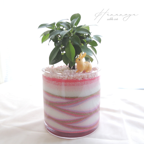 幸せチャージ 】フィカス ガジュマル カラーサンドアート サブルアート