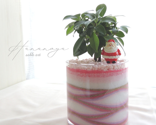 幸せチャージ 】フィカス ガジュマル カラーサンドアート サブルアート