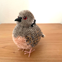 小鳥出品 ぽんぽん小鳥 セキセイインコ その他置物 Tao 通販 13677673
