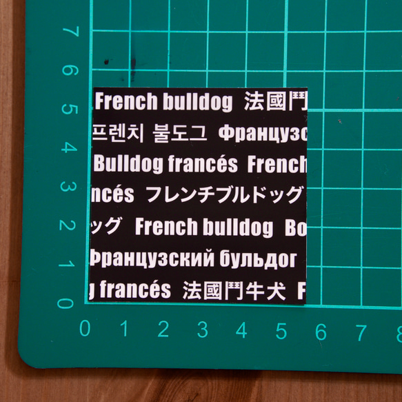 いろんな国の言葉でフレブルステッカー 2種2カラー 9枚目の画像